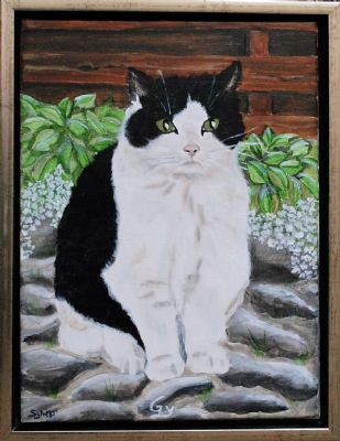 Katteportrt